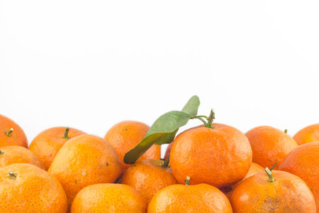 Orange fresh from the farm for do orange juiceの写真素材