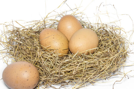 Fresh eggs from the farm for cooking