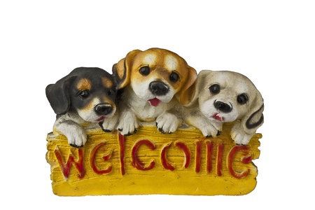 pet with welcomeのeditorial素材