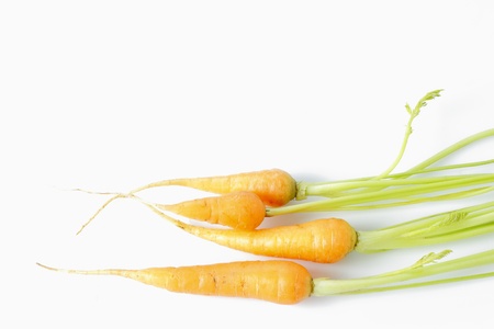 Fresh baby Carrots Isolated on  White Backgroundの写真素材