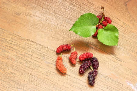 Fresh mulberry on wooden backgroundの写真素材