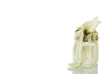 Old candle isolated on whiteの写真素材