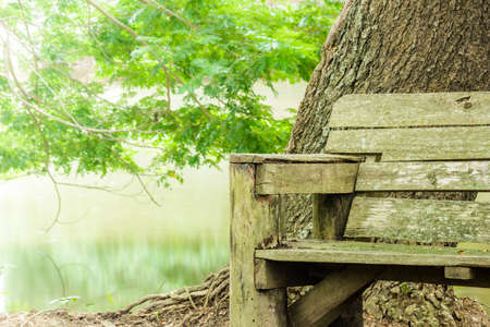 old empty wooden bench near the lake in the park の写真素材