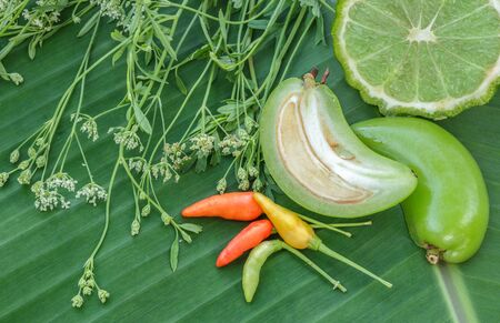 Fresh spices and herbs on a green leaf.の写真素材