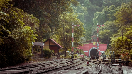 railway tunnel with old brick in forest and mountain.