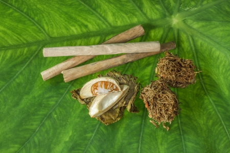 Tobacco leaves were dried, cut into small strips called line tobacco,with Betel palm fruit on green leaf.の写真素材