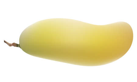 Ripe mango isolated on white background.のイラスト素材