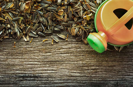 Dry sunflower seeds from garden with watering on grunge wooden background.の写真素材