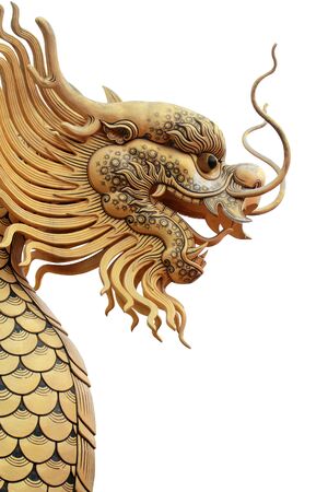 Dragon on a white background の写真素材