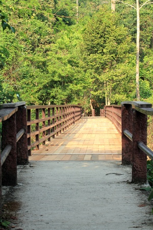 Wooden bridge traveler the forestの写真素材