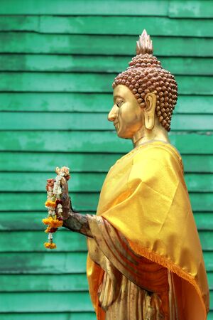 Buddha on green backgroundの写真素材