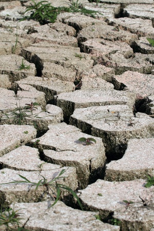 Surface of the soil dryの写真素材