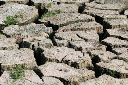 Surface of the soil dryの写真素材