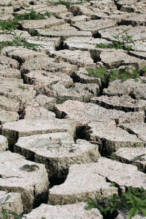 Surface of the soil dryの写真素材