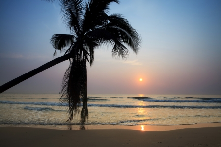 Tropical beach at sunrise in thailandの写真素材