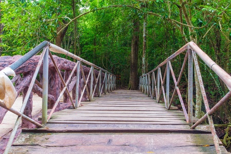 Walkway wooden bridge in the forestsの写真素材