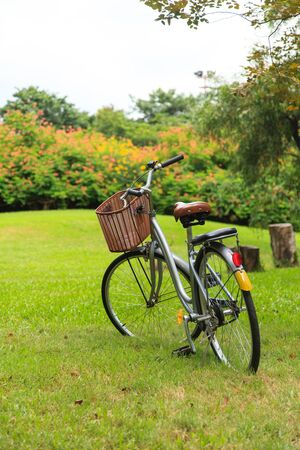 Bicycles in the parkの写真素材