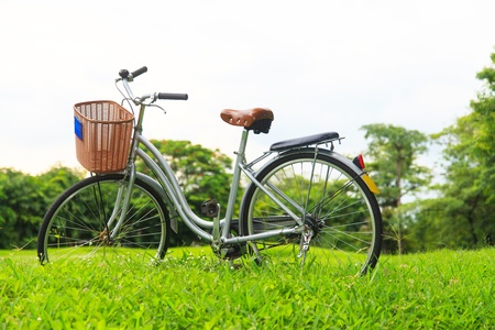 Bicycles in the parkの写真素材