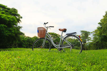 Bicycles in the parkの写真素材
