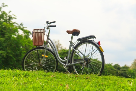 Bicycles in the parkの写真素材