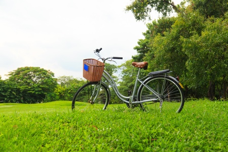 Bicycles in the parkの写真素材