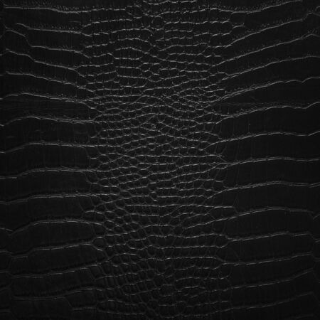 Snake Skinの写真素材
