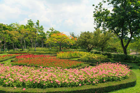 Beautiful gardenの写真素材