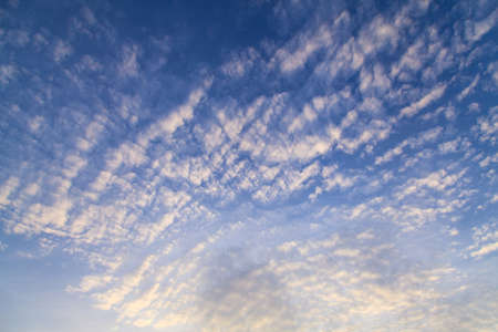 Beautiful blue morning