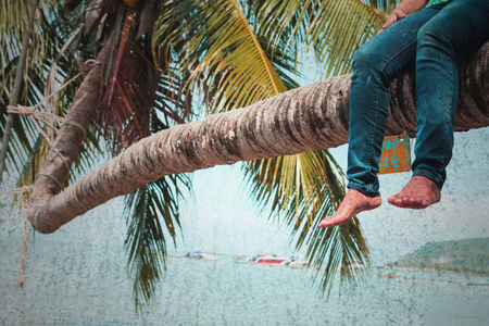 Coconut palm tree background in vintage style の写真素材