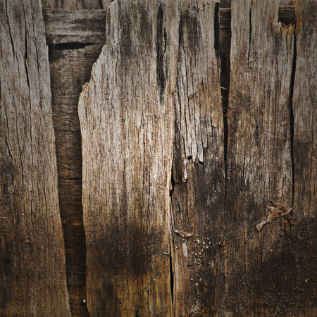 Old grunge wooden wallの写真素材