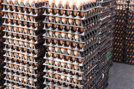 Eggs in the packageの写真素材