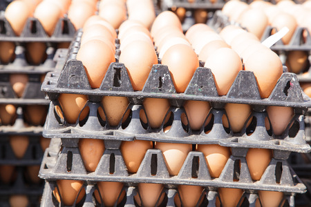 Eggs in the packageの写真素材