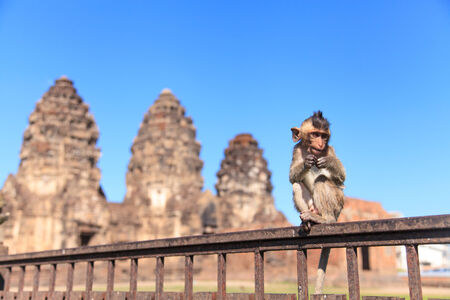 Monkey in front of Prang Sam Yot in Lopburi, Thailandの写真素材