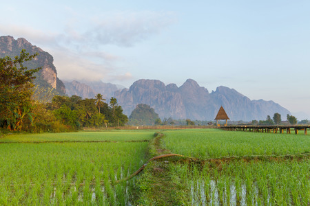 Green rice fields and mountains, Vang Vieng, Laosのeditorial素材