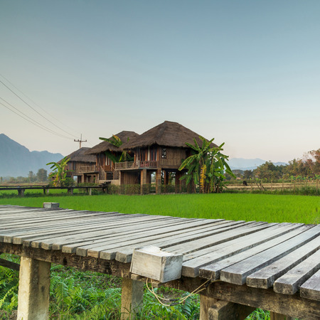 Green rice fields and mountains, Vang Vieng Resort, Laosのeditorial素材
