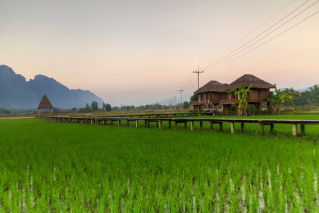 Green rice fields and mountains, Vang Vieng Resort, Laosのeditorial素材