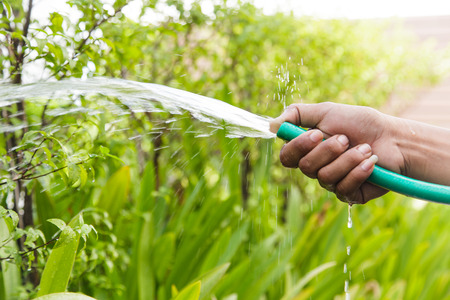 Watering plants