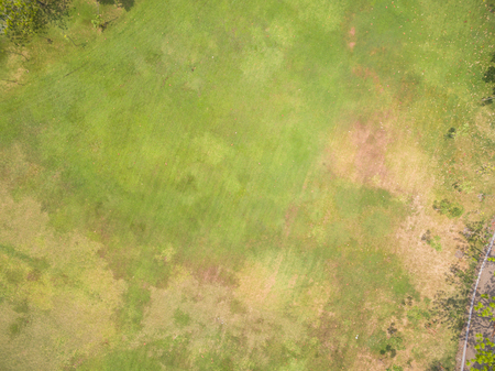 Natural grass texture, Aerial view of parkのeditorial素材