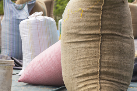 Farmer and paddy rice seed in a Burlap sackの写真素材