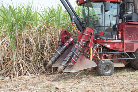 Sugarcane harvester machineの写真素材