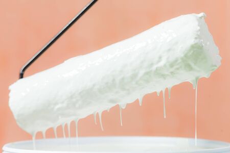 Paint and paint rollerの写真素材