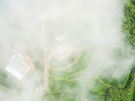 Aerial view of Tea plantation with a white fog obscure, Shot from droneの写真素材