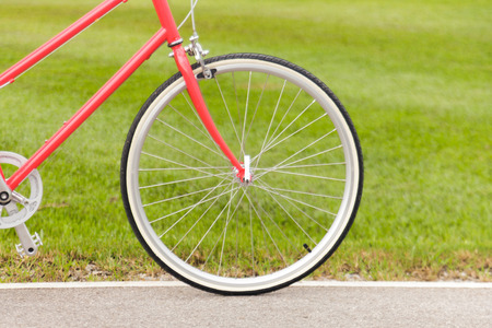 Red bicycle in the gardenの写真素材