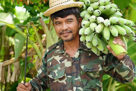 Farmer carrying of green bananasの写真素材