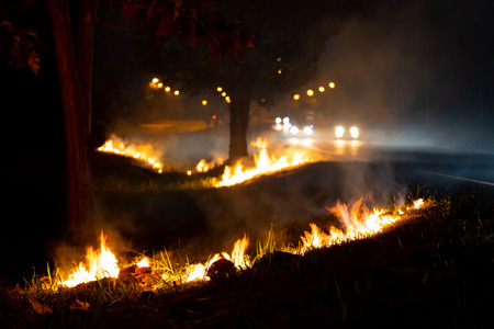 Fire over the wild side of the road, The flame of burning at nightの写真素材