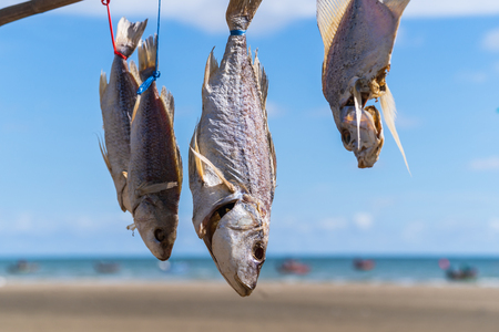 Fish outdoor drying on the sun above blue sea and skyの写真素材