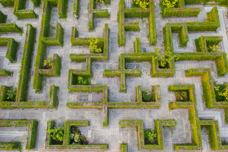 Aerial photo top view medium altitude above of maze green park gardenの写真素材