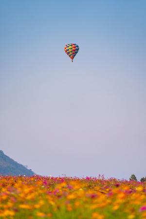 Balloon on blue sky over beautiful flower gardenの写真素材