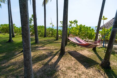 Tropical beach with hammock under the palm trees in sunlight, vacation backgroundの写真素材