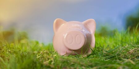 Pink piggy bank on grass under blue skyの写真素材